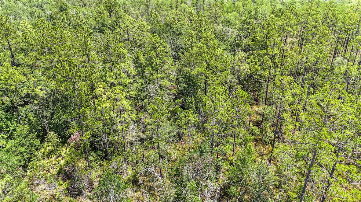 0 Brewton Road Folkston, GA 31537 - Photo 10 of 19