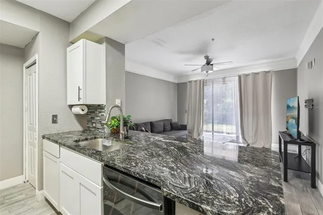 $2,000 | 17104 Carrington Park Drive, Unit 514, Tampa, FL 33647