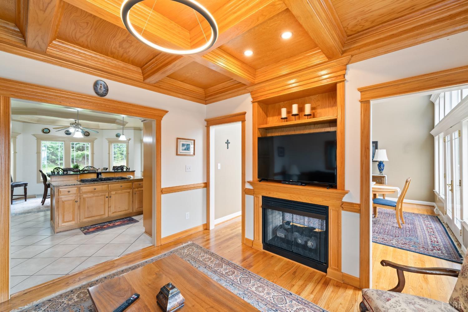 1136 Heavens View Drive Goode, VA 24556 - Photo 32 of 60 a living room with furniture a flat screen tv and a fireplace