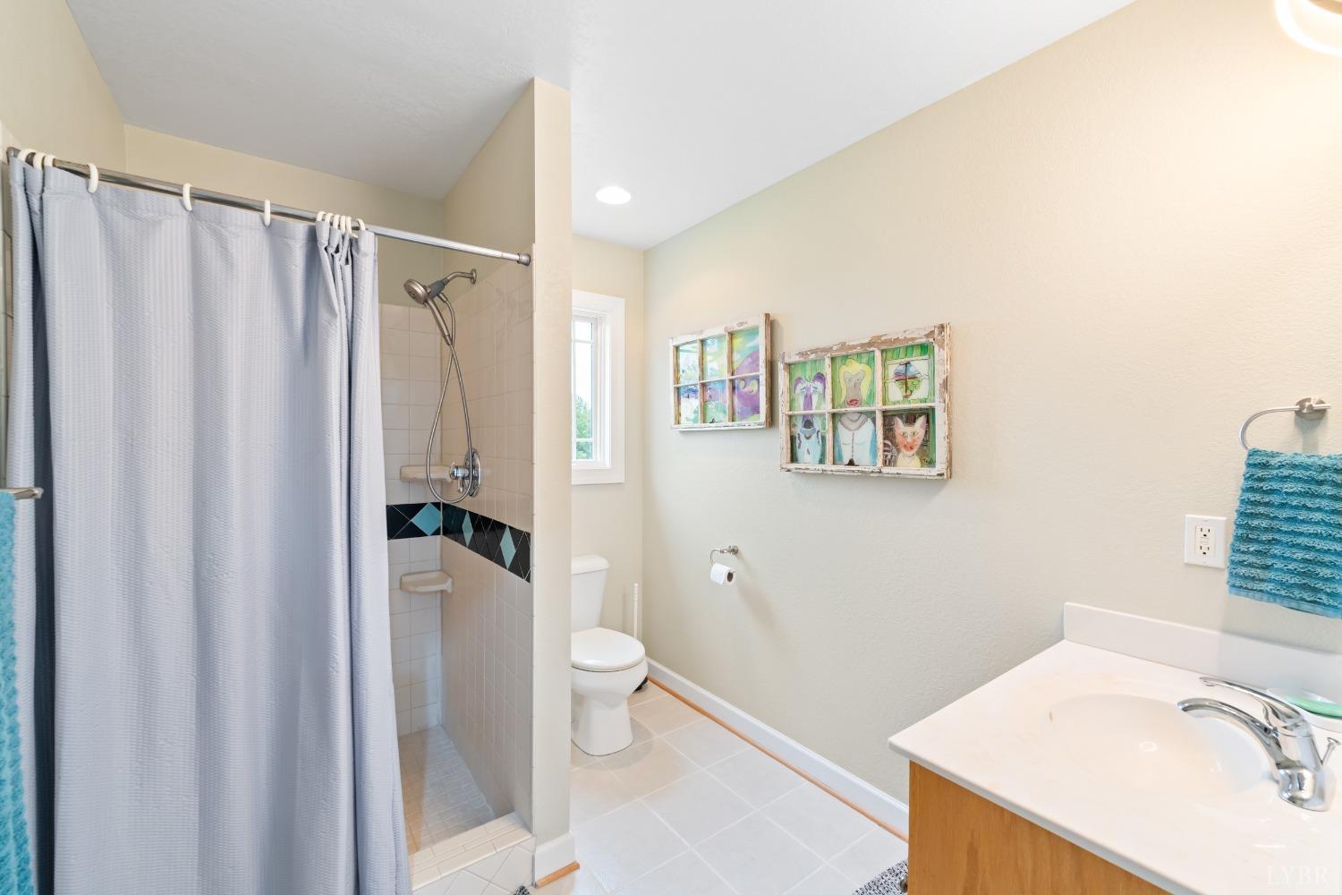 1136 Heavens View Drive Goode, VA 24556 - Photo 43 of 60 a bathroom with a sink toilet and shower