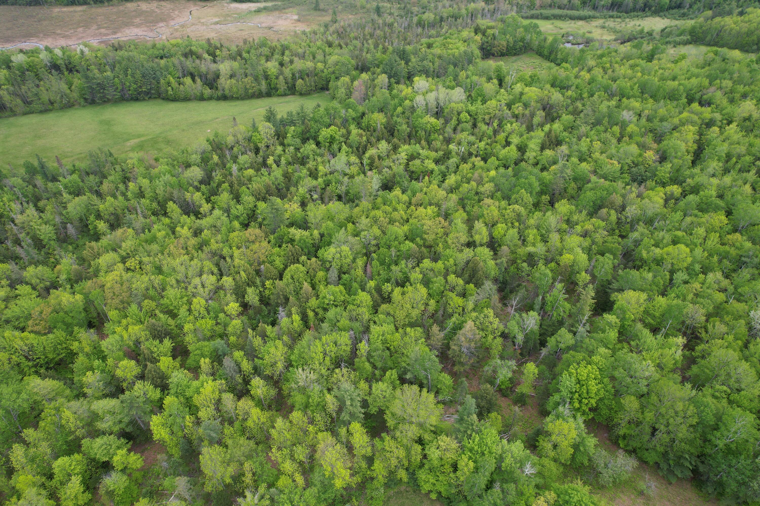 212 Mile Square Road Phillips, ME 04966 - Photo 11 of 33 DJI_0312