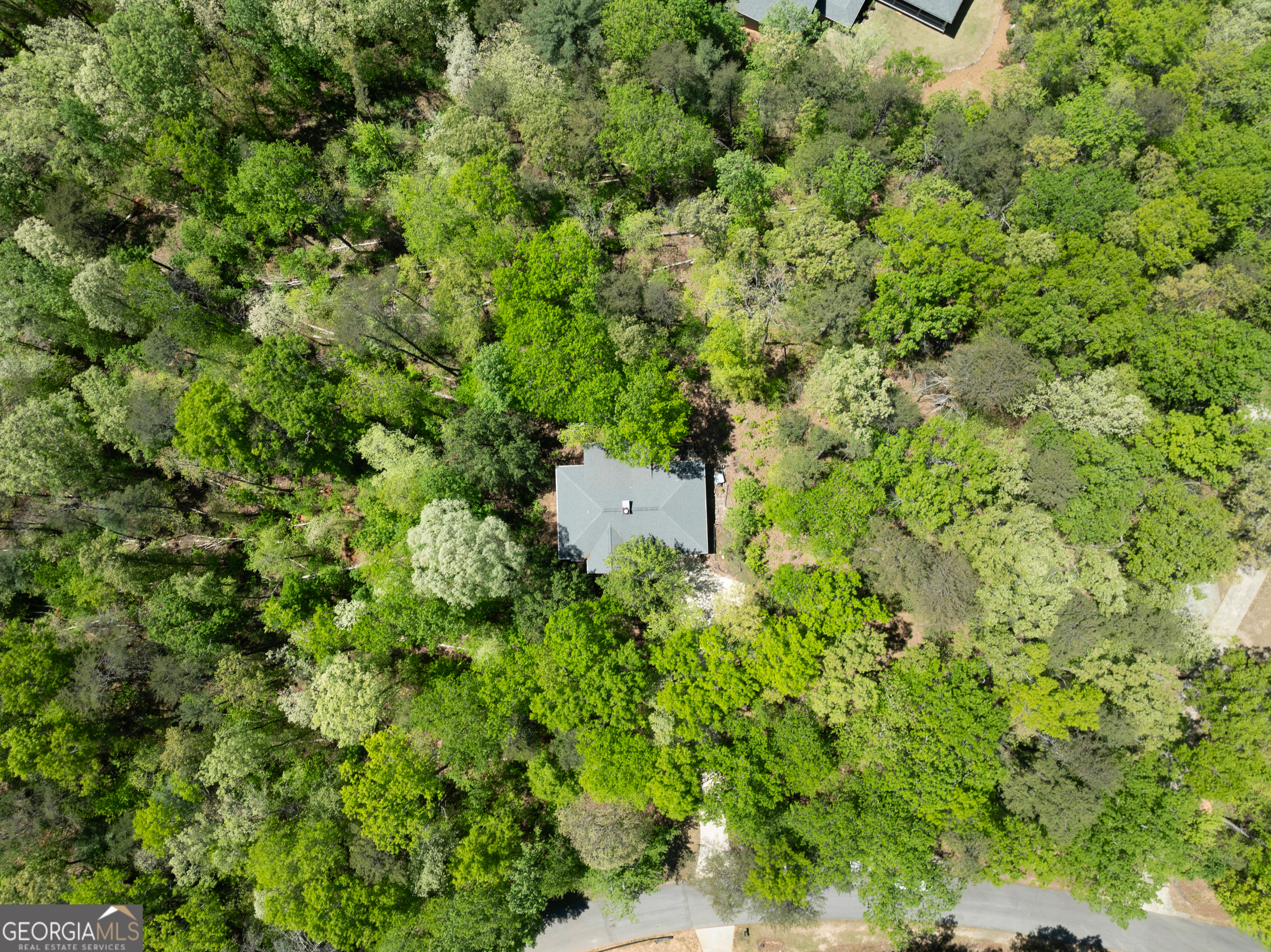 337 Spring Crest Road Cleveland, GA 30528 - Photo 45 of 52