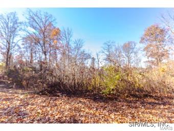 2601 Koch Road Waterloo, IL 62298 - Photo 19 of 24