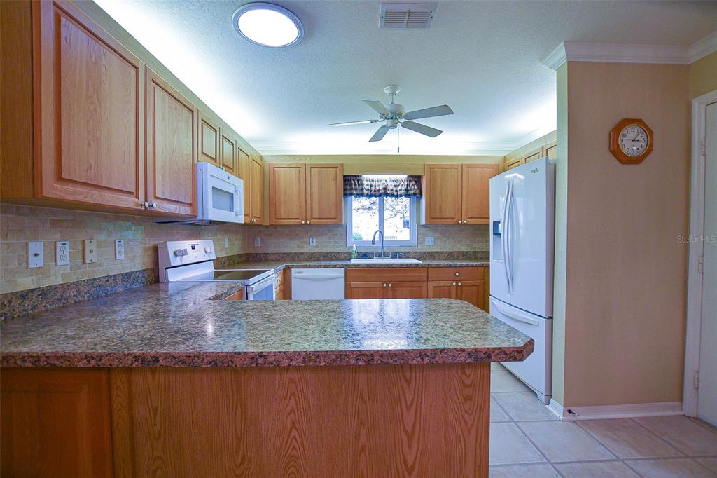 9033 Southeast 135th Loop Summerfield, FL 34491 - Photo 30 of 83
