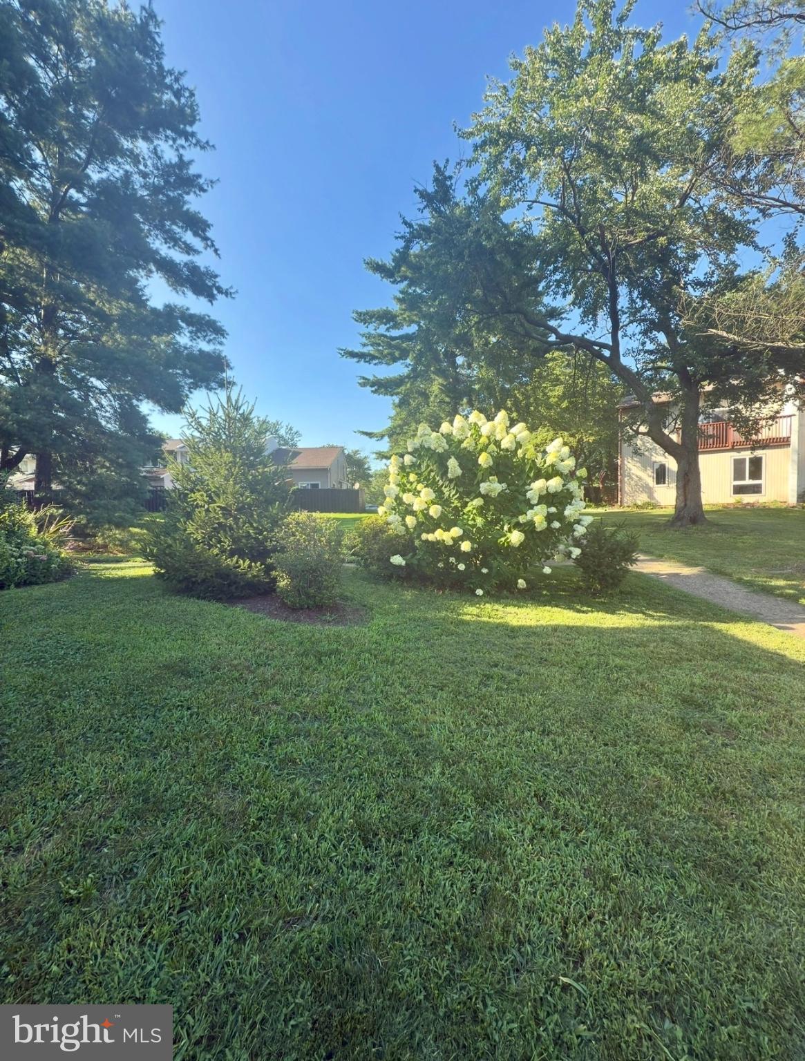 19 Carousel Court Sterling, VA 20164 - Photo 3 of 3 Side yard with walkway to front entrance.