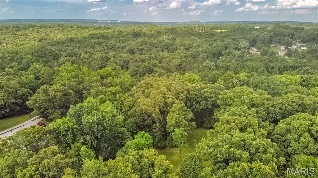 0 Watson Road Festus, MO 63028 - Photo 15 of 17