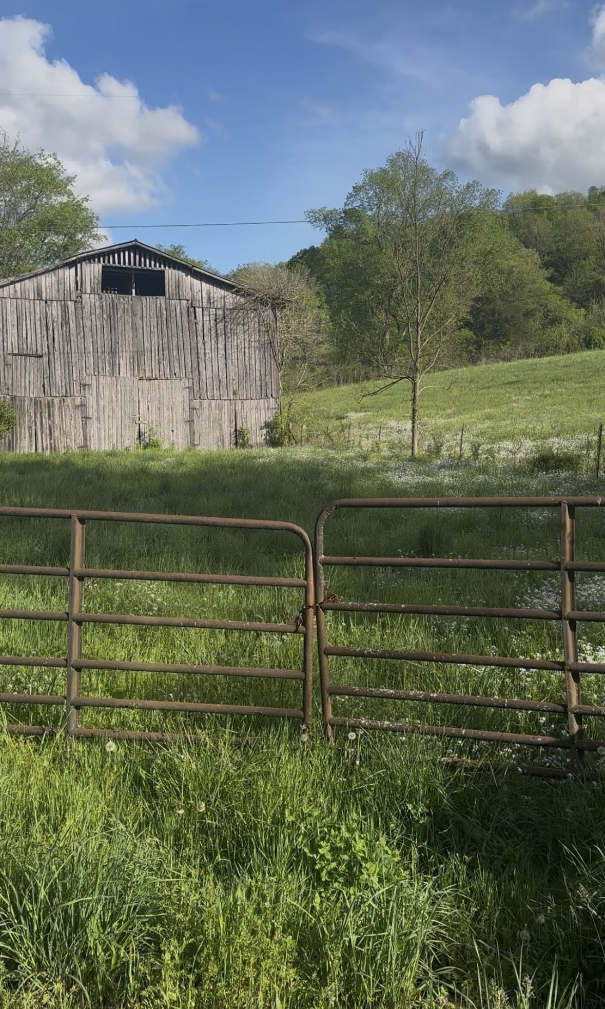 0 Little Salt Lick Road Carthage, TN 37030 - Photo 2 of 4 a view of a garden with a wooden fence