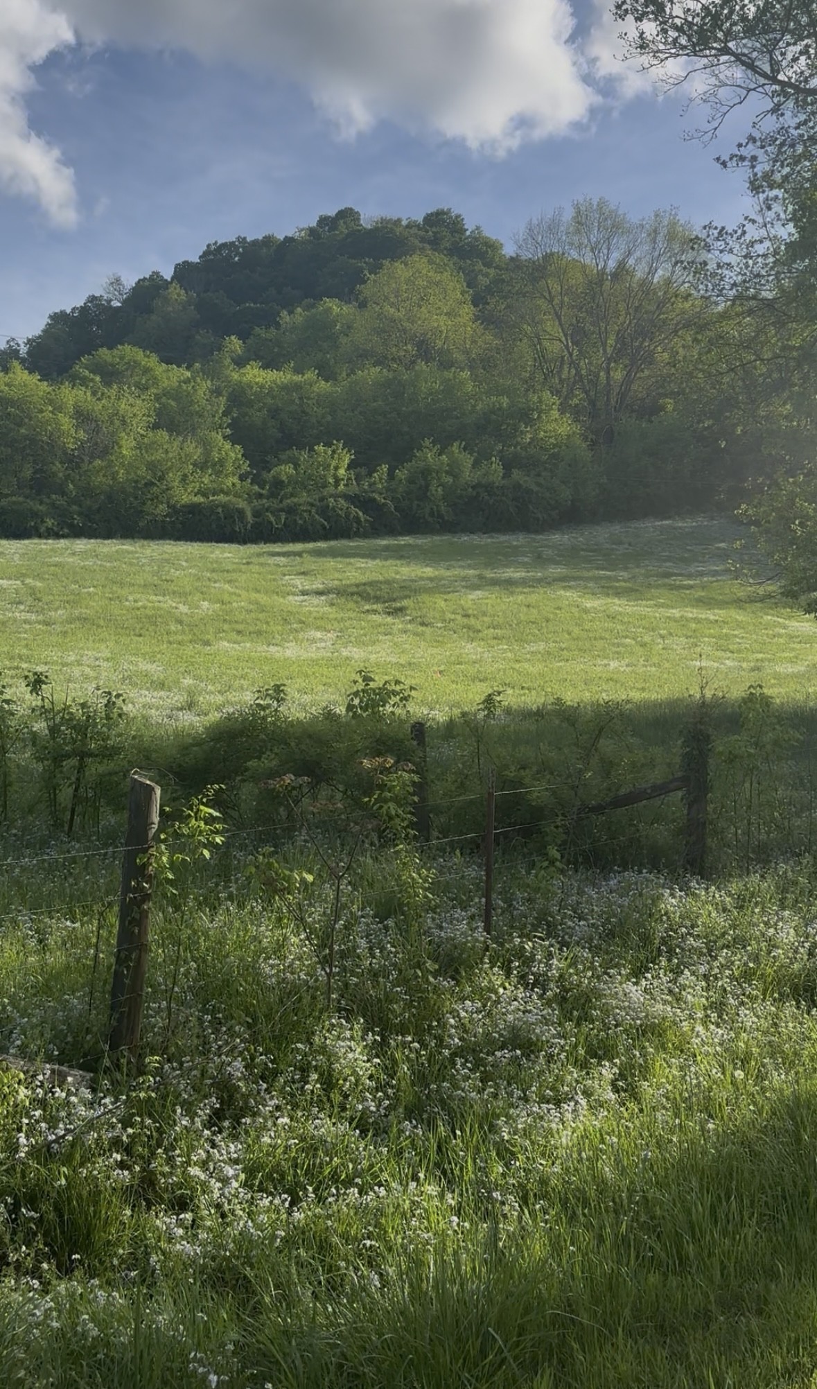 0 Little Salt Lick Road Carthage, TN 37030 - Photo 3 of 4 a view of a lake with a mountain in the background