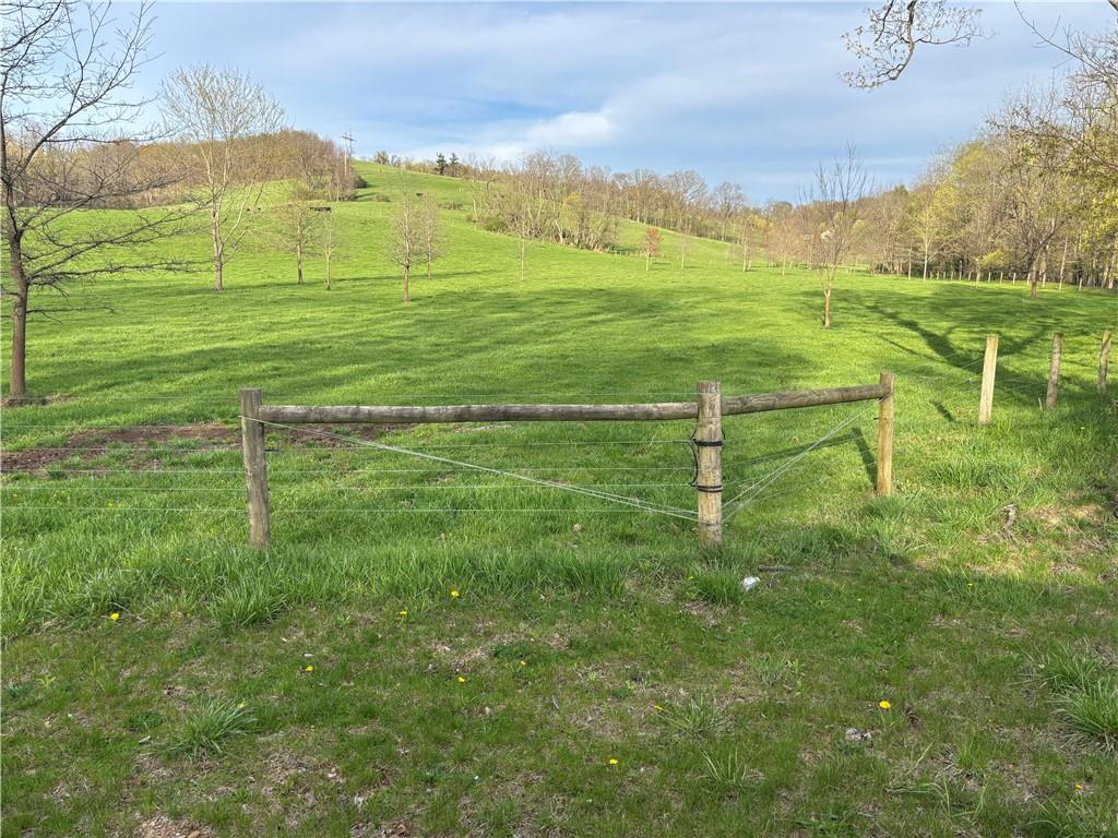 a view of a field with an trees