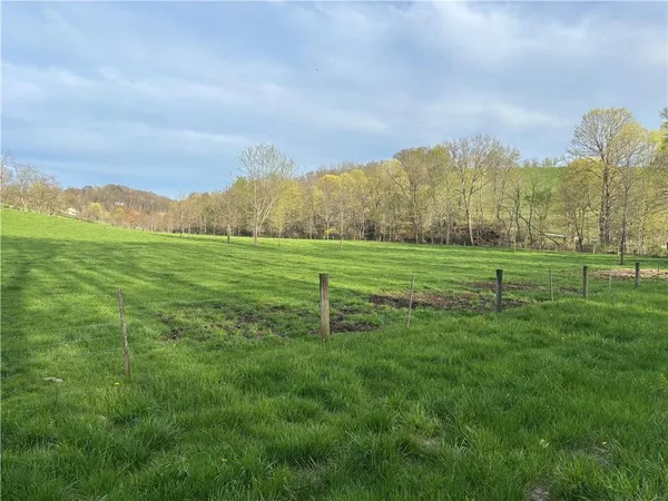 a view of a city with tall trees