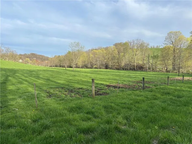 a view of a city with tall trees