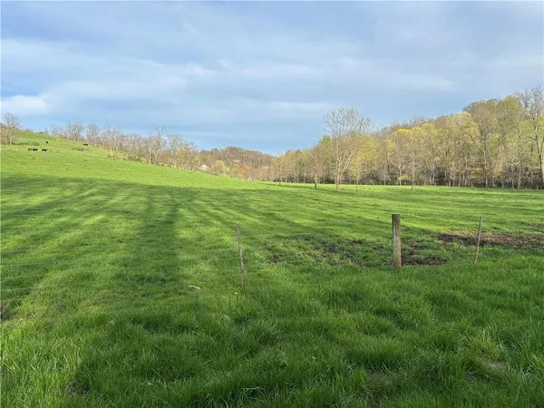a view of a city with lush green forest