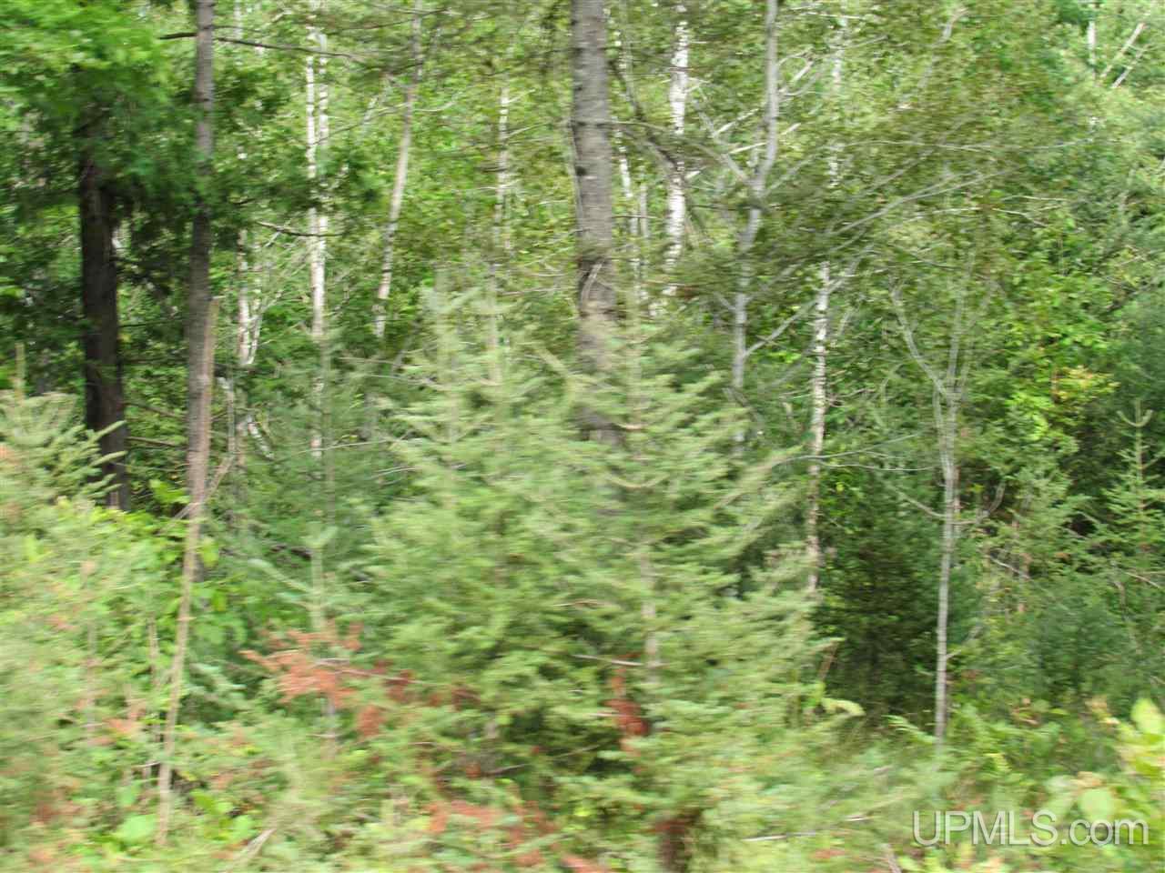 M69 And Shiversky Road Perronville, MI 49873 - Photo 8 of 16