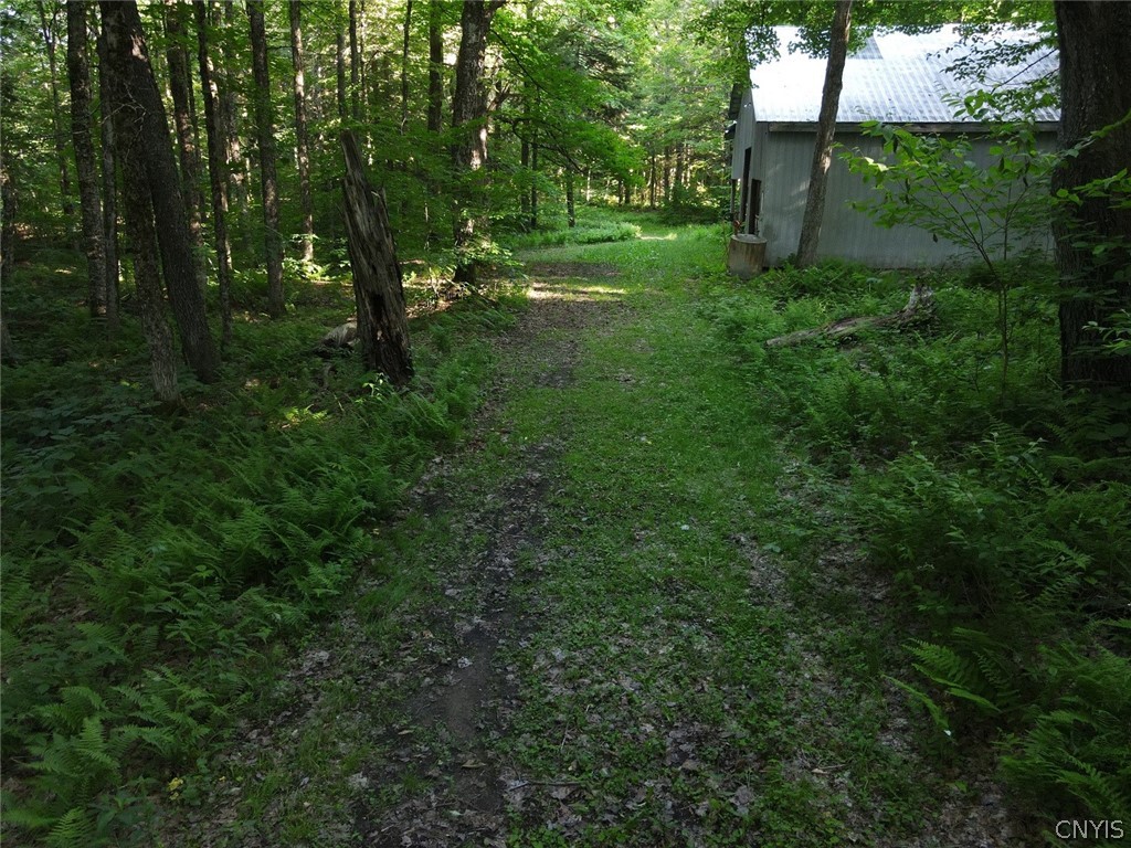 519 Harvester Mill Road Redfield, NY 13437 - Photo 11 of 34