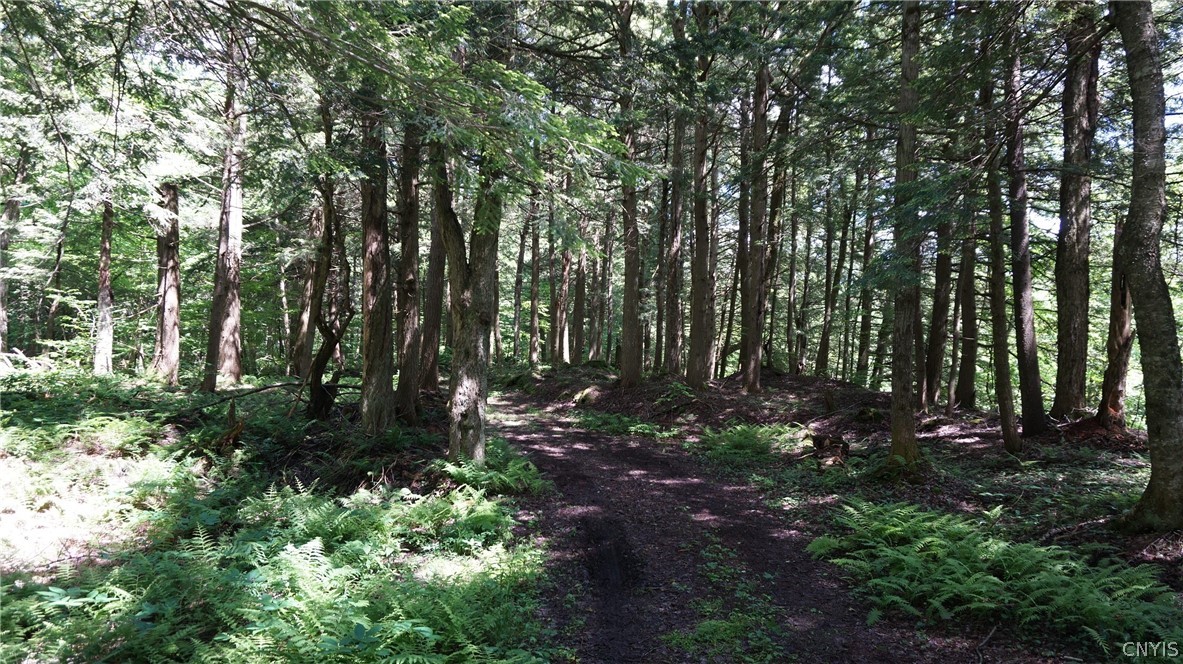 519 Harvester Mill Road Redfield, NY 13437 - Photo 29 of 34