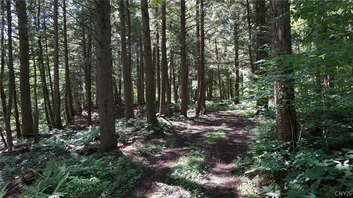 519 Harvester Mill Road Redfield, NY 13437 - Photo 30 of 34