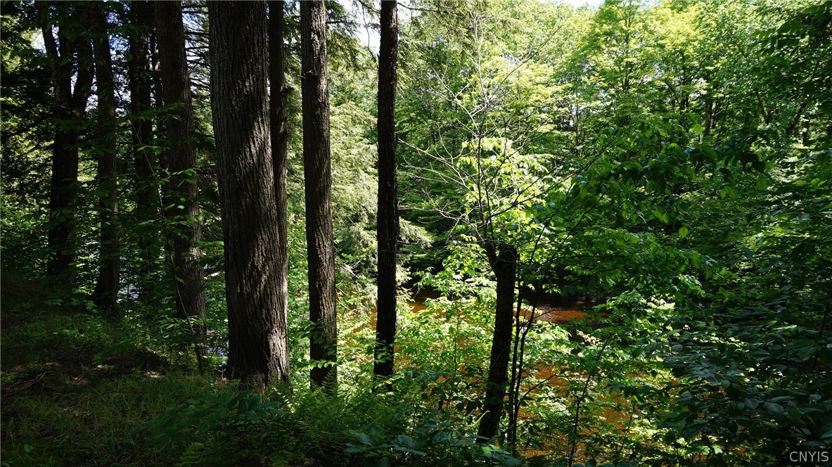 519 Harvester Mill Road Redfield, NY 13437 - Photo 8 of 34