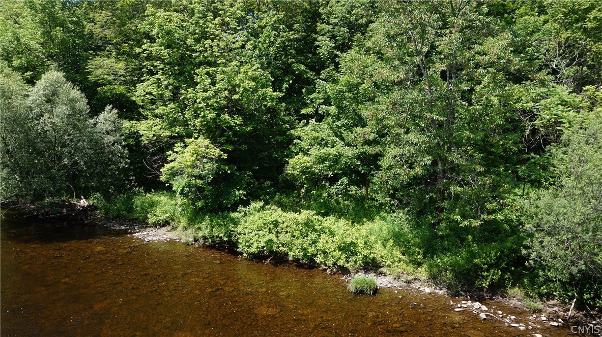 519 Harvester Mill Road Redfield, NY 13437 - Photo 10 of 34