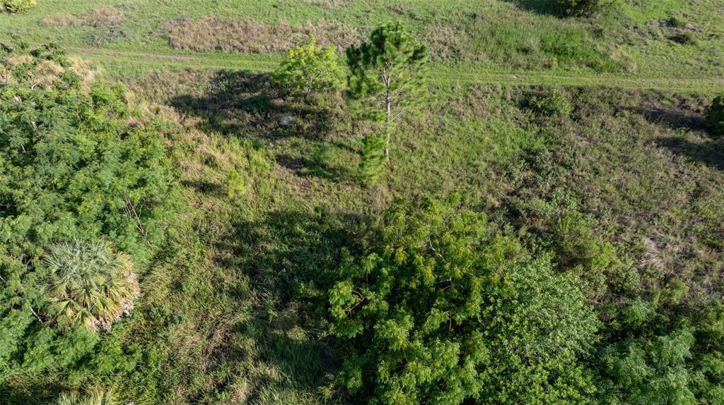 232 Foxhall Circle Sebring, FL 33876 - Photo 14 of 14