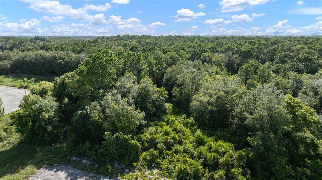 232 Foxhall Circle Sebring, FL 33876 - Photo 2 of 14