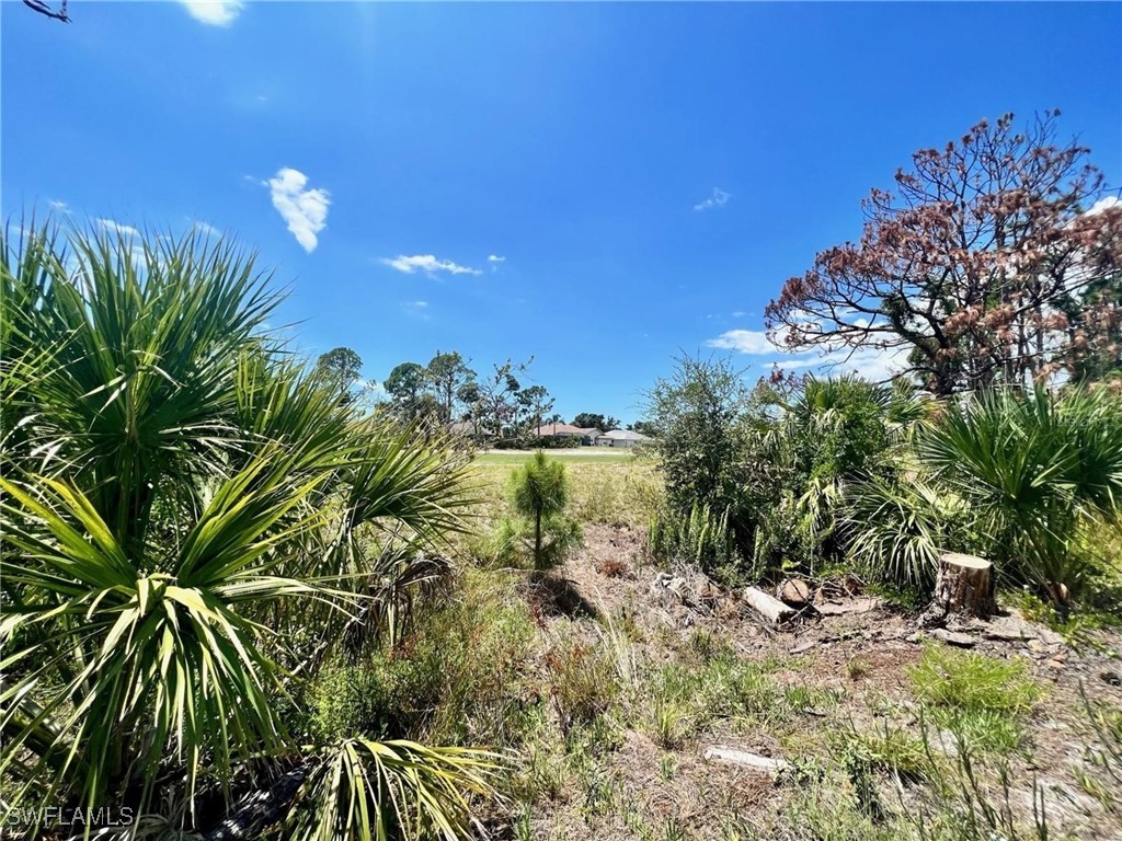 230 Fairway Road Rotonda West, FL 33947 - Photo 2 of 6 a view of a yard