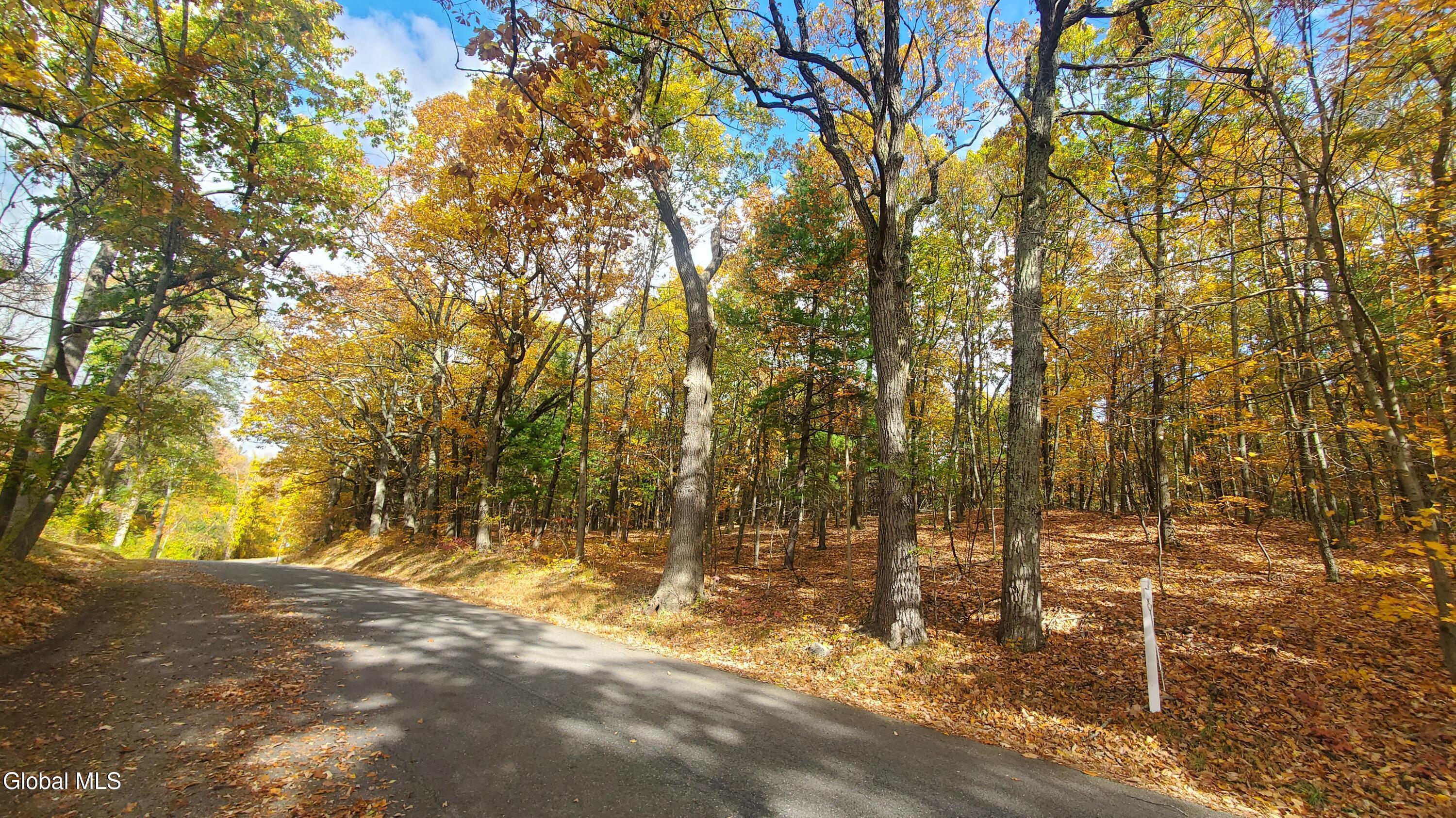 L25 Fischer Road Kinderhook, NY 12106 - Photo 1 of 30 PRIVATE AND ACCESSIBLE
