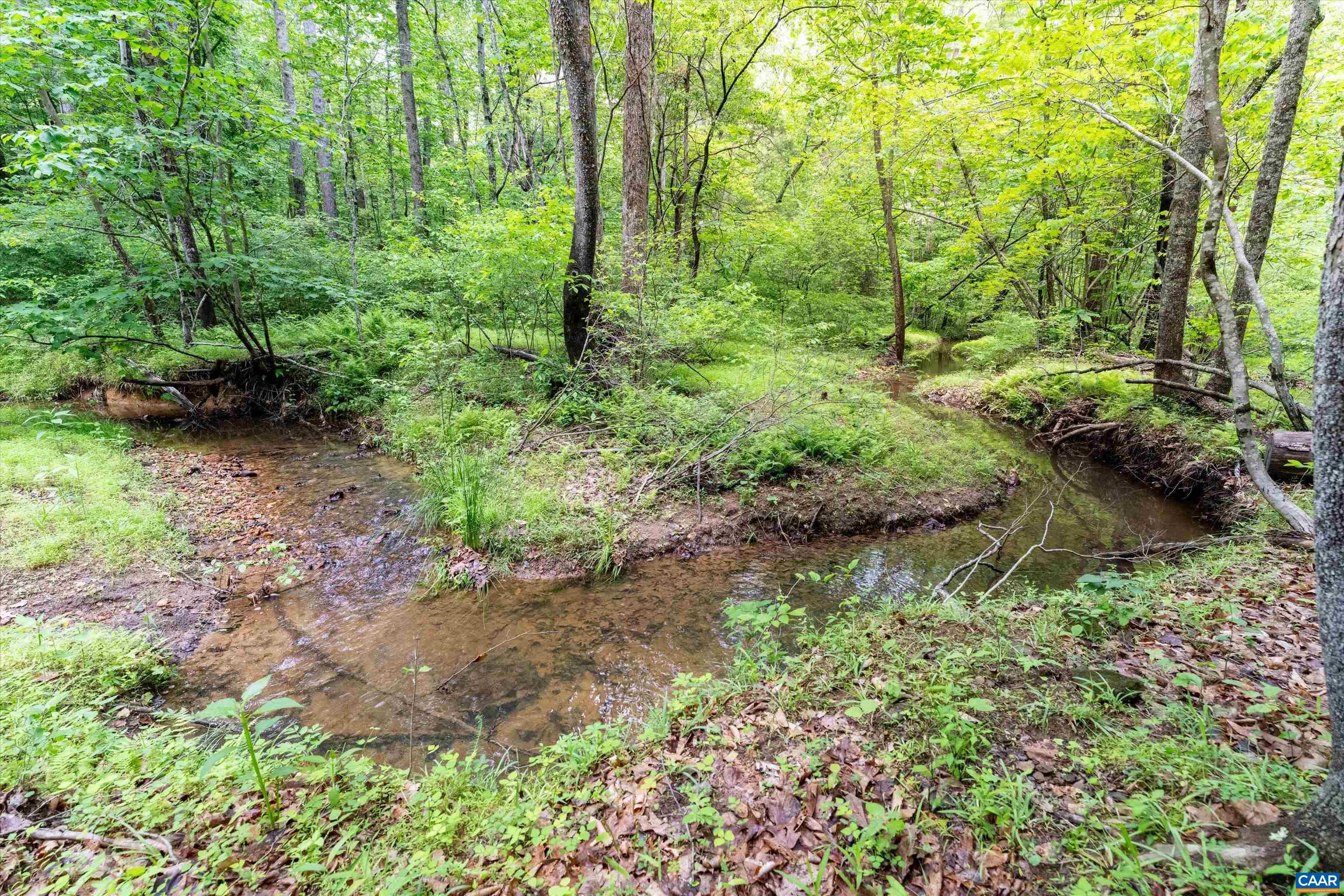 1309 Salem Road Schuyler, VA 22969 - Photo 2 of 7 a backyard of a house with lots of green space