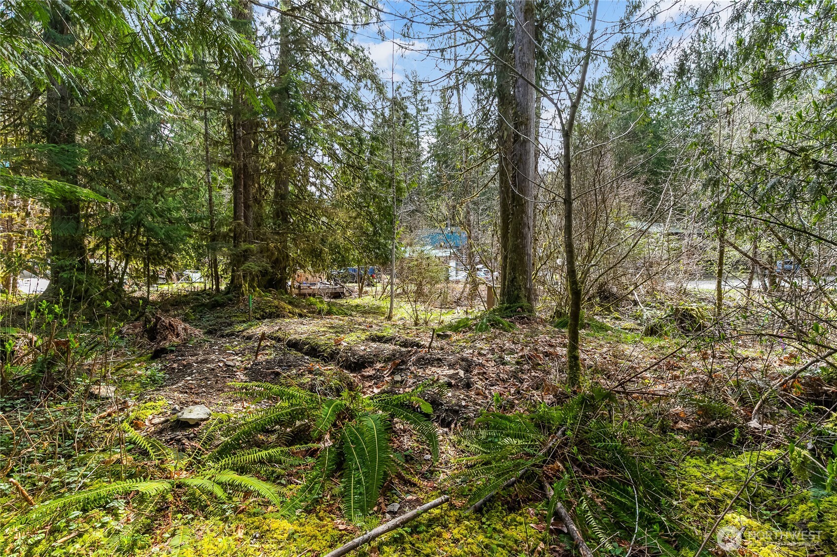 17045 Iceberg Road Glacier, WA 98244 - Photo 8 of 20