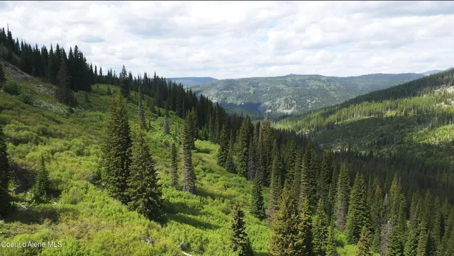 $1,088,000 | S 320-ac South 320-ac Shoot Creek Road, Kooskia, ID 83539
