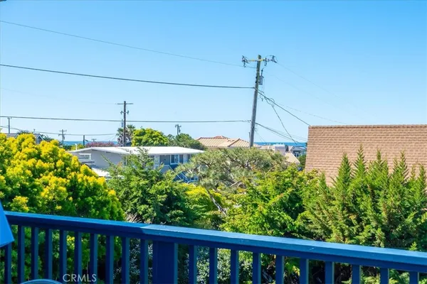 a view of a backyard with plants and a garden