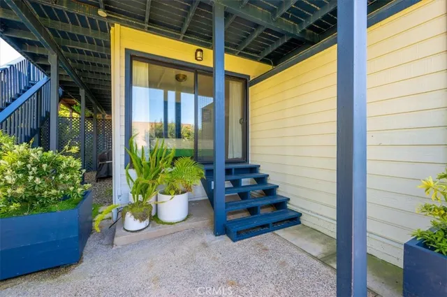 a view of a park with plants and trees