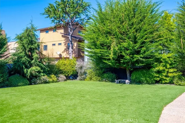 a backyard of a house with plants and large trees