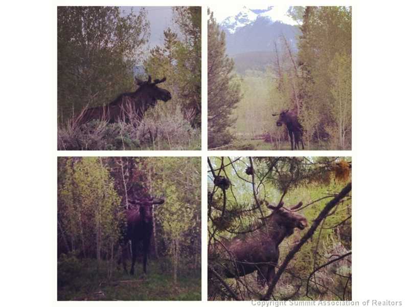 32 J Road Silverthorne, CO 80498 - Photo 16 of 16 Other.