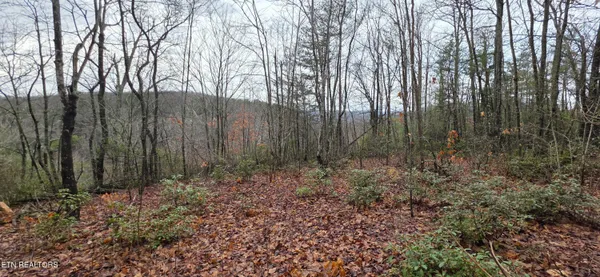 $75,000 | 778 Eastridge Pass, Monterey, TN 38574