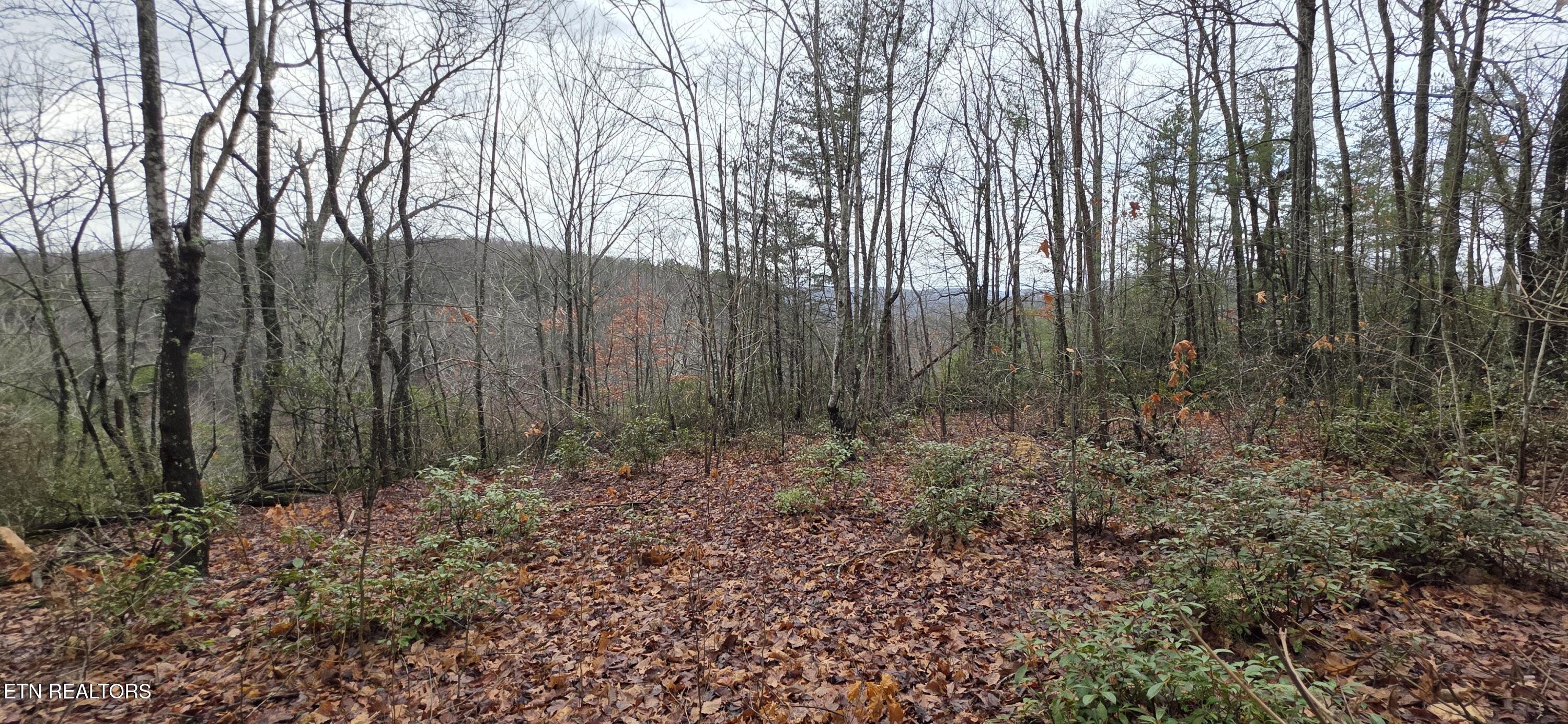 778 Eastridge Pass Monterey, TN 38574 - Photo 1 of 5 20260109_130016