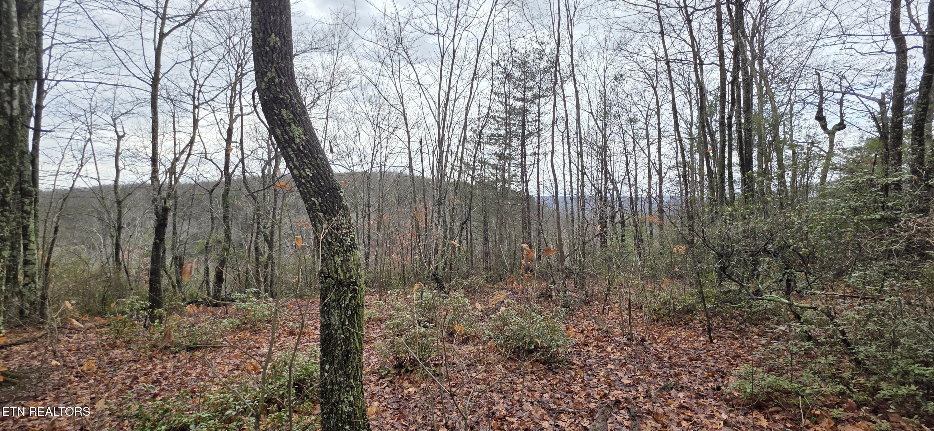 778 Eastridge Pass Monterey, TN 38574 - Photo 2 of 5 20260109_130009