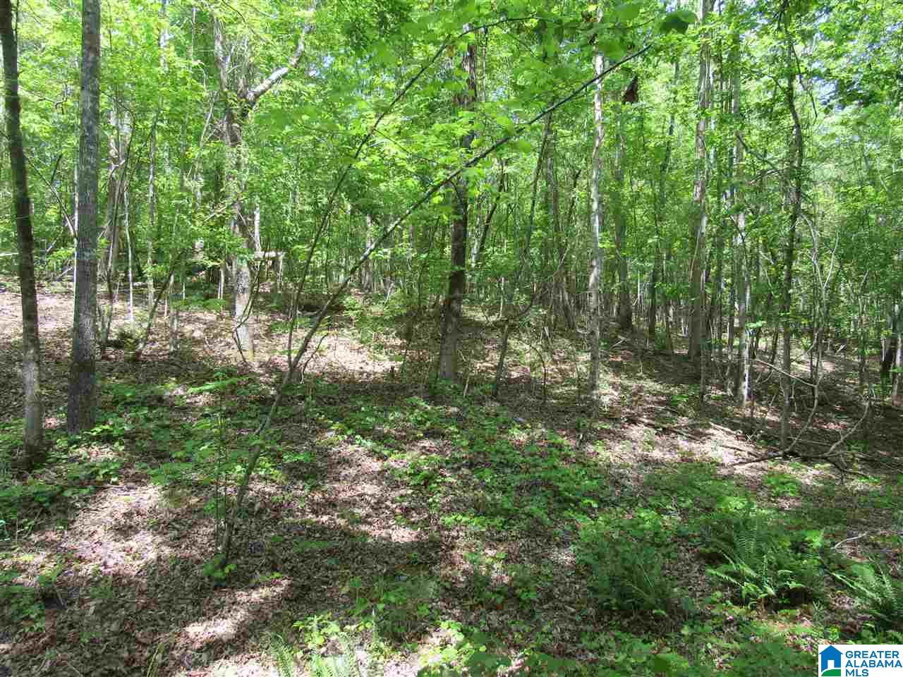 0 County Road 895, Unit 17 ACRES Lineville, AL 36266 - Photo 20 of 30