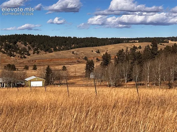 $65,000 | 216 Will Scarlet Drive, Divide, CO 80814