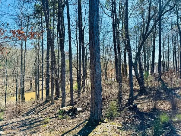 $59,000 | 0 Lot 22 Waterside Point, Abbeville, SC 29620
