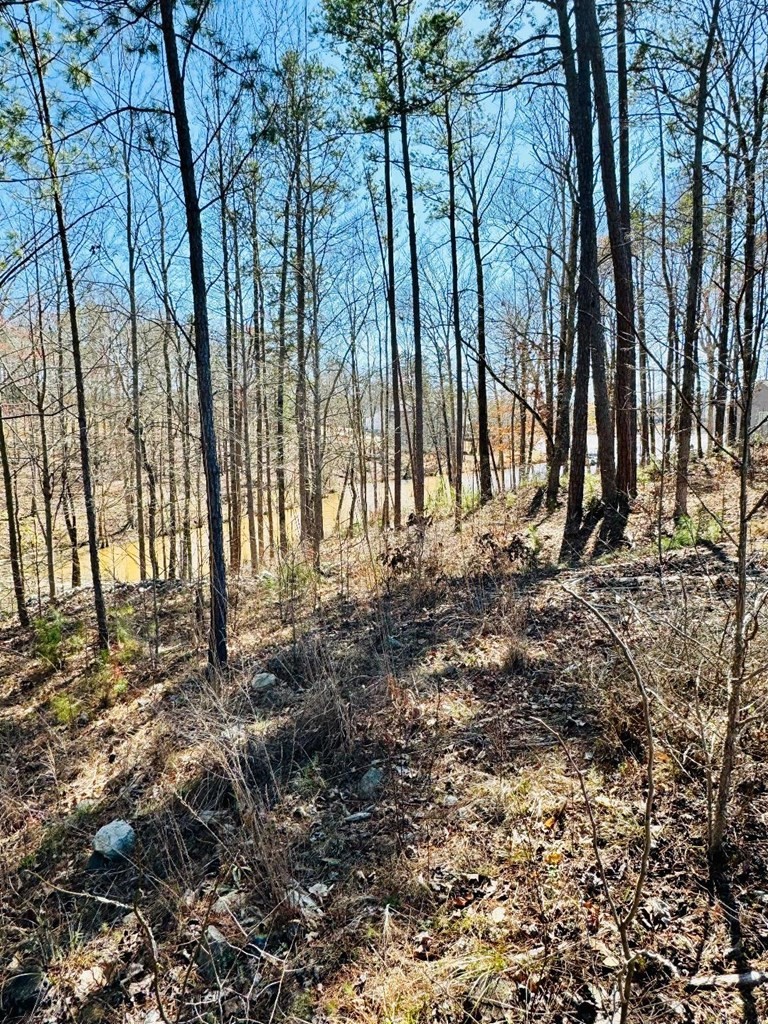 0 Lot 22 Waterside Point Abbeville, SC 29620 - Photo 12 of 16