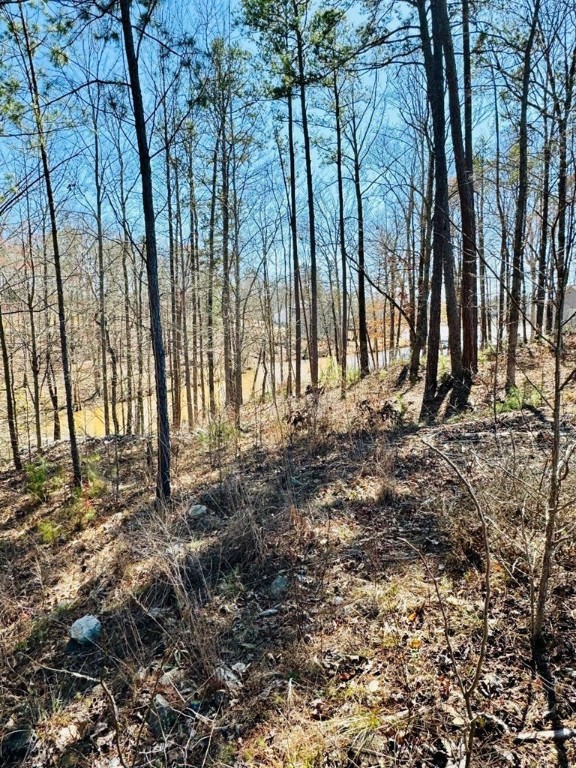 0 Lot 22 Waterside Point Abbeville, SC 29620 - Photo 12 of 16