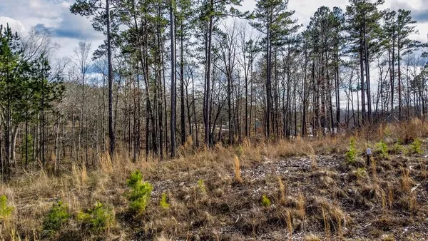 $59,000 | 0 Lot 22 Waterside Point, Abbeville, SC 29620