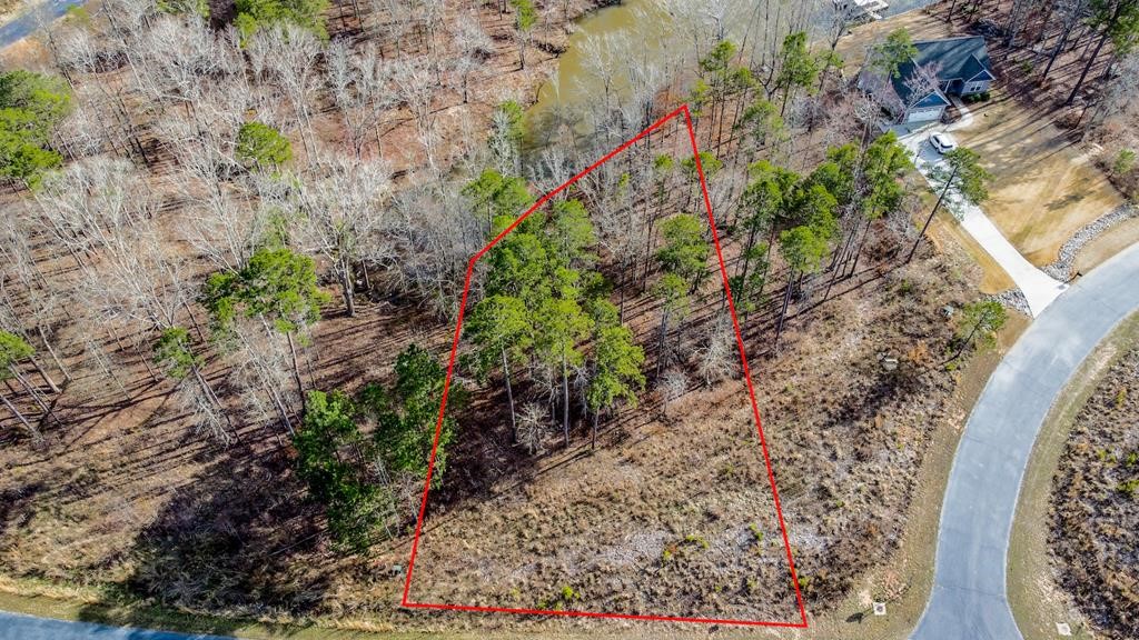 0 Lot 22 Waterside Point Abbeville, SC 29620 - Photo 16 of 16