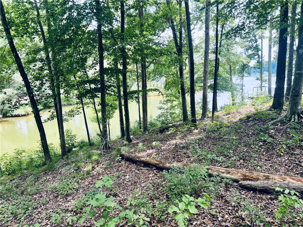 0 Lot 22 Waterside Point Abbeville, SC 29620 - Photo 6 of 16