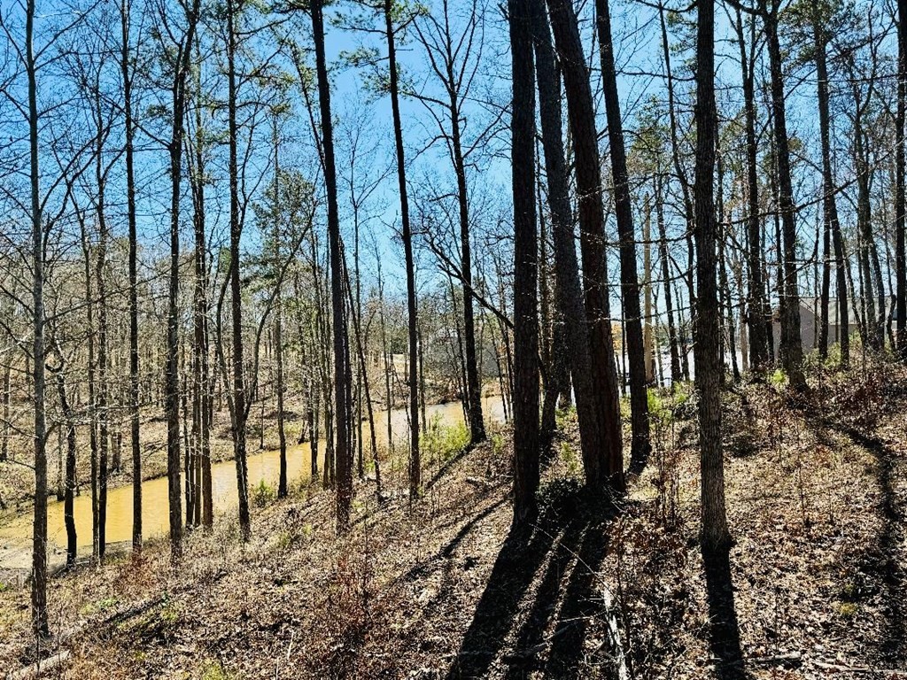 0 Lot 22 Waterside Point Abbeville, SC 29620 - Photo 8 of 16