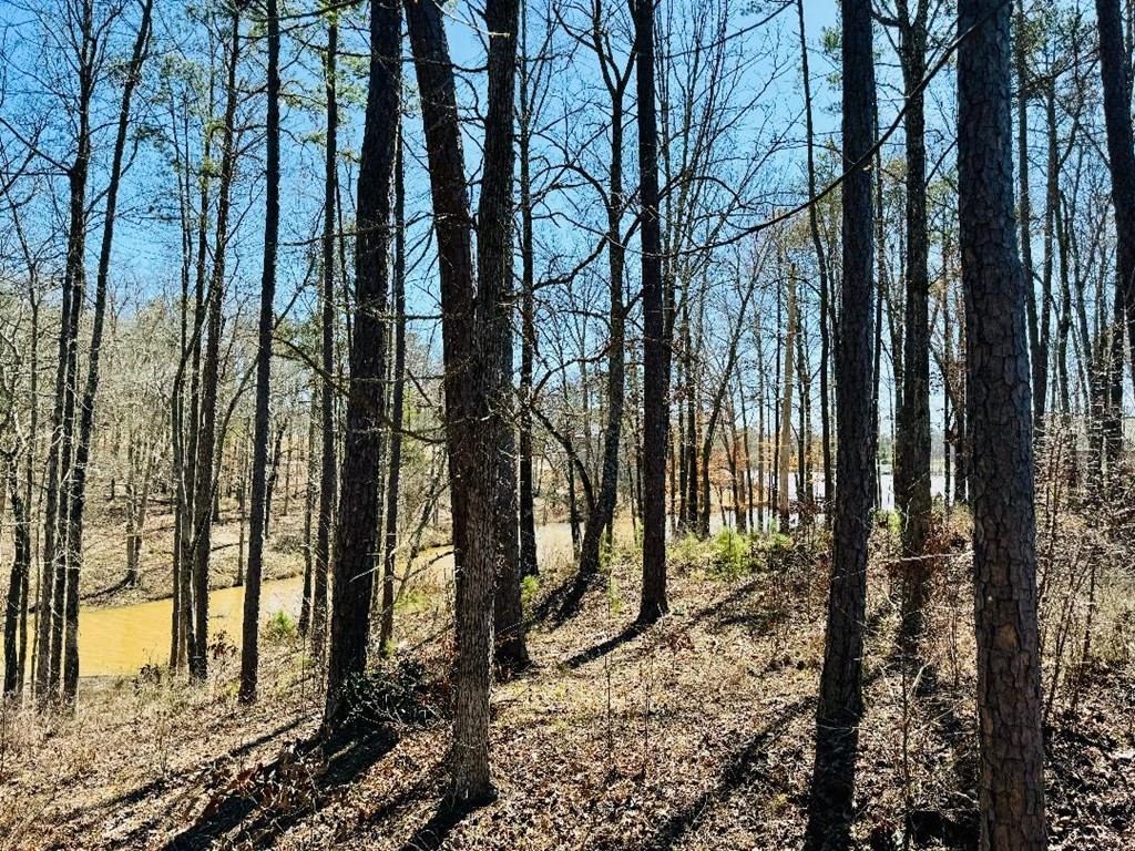 0 Lot 22 Waterside Point Abbeville, SC 29620 - Photo 9 of 16