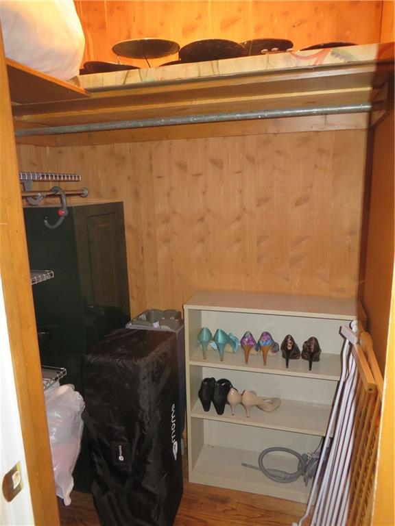 181 Seegar Road Upper St. Clair, PA 15241 - Photo 21 of 25 Walk in cedar closet