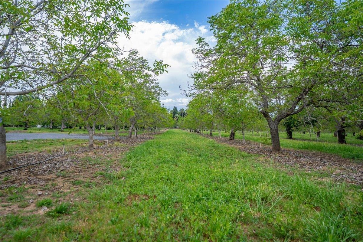 820 Paynes Creek Road Red Bluff, CA 96080 - Photo 25 of 28