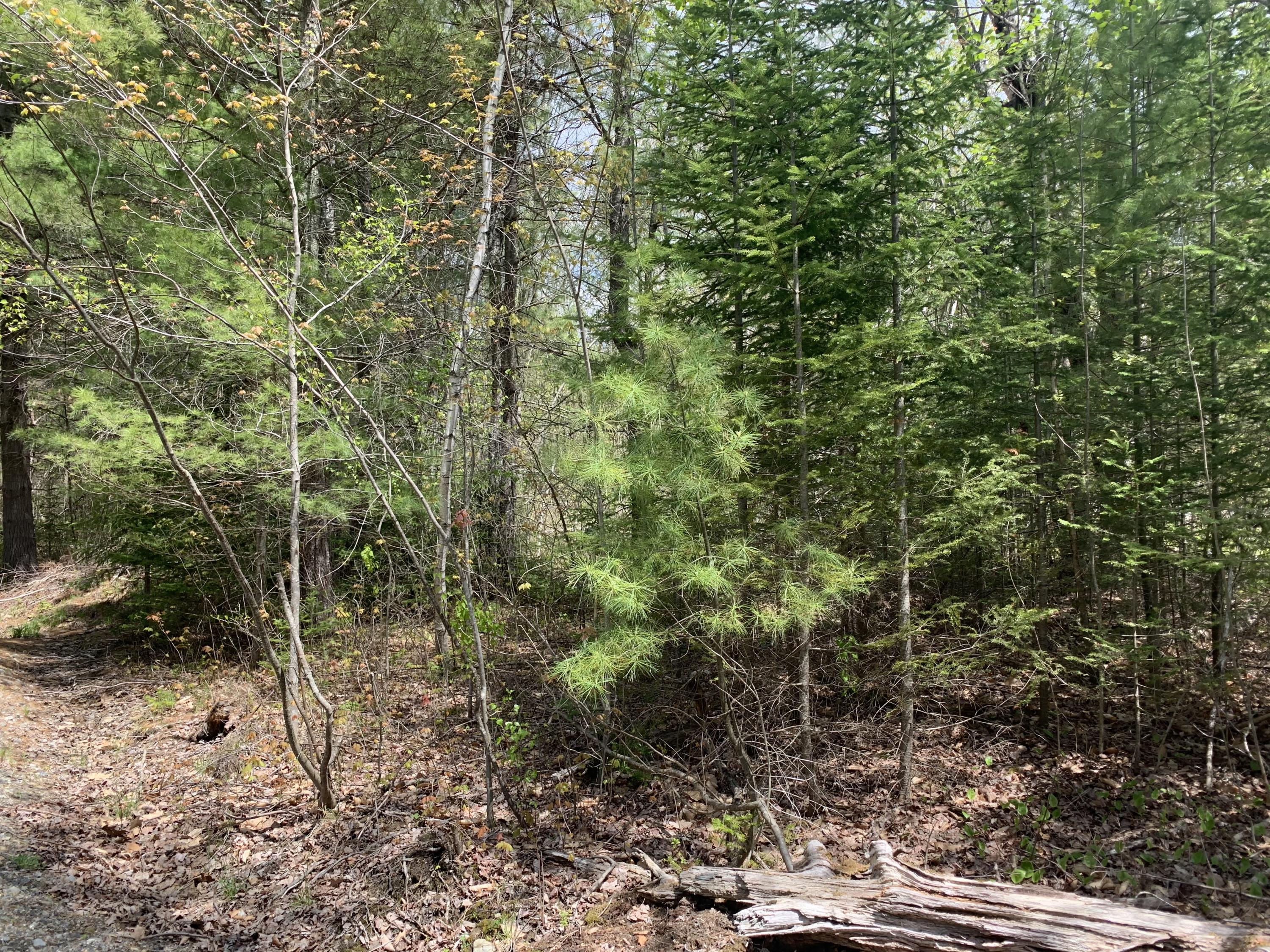 253 Academy Road Monmouth, ME 04259 - Photo 4 of 5 IMG_4531