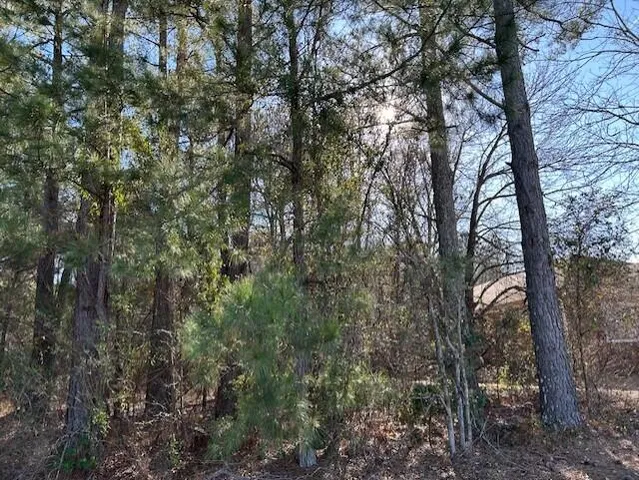 $36,000 | 3115 Highway 9, Cheraw, SC 29520